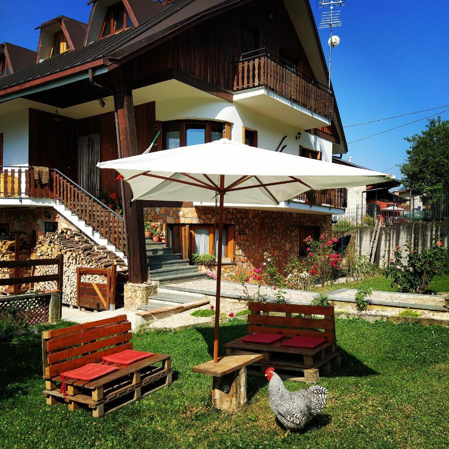La Rocca Bianca Bed and Breakfast Demonte Exteriör bild